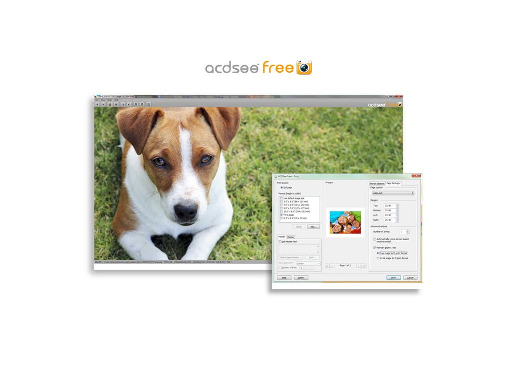 Acdsee pro 8 free download for mac